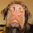 Mr_Schade