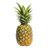 PineappleOwen
