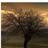 edusola001