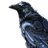 corfecrow