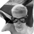 FineschiRoberto