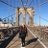 kerri_rolfe