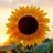 Cecil_Sanc