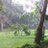 uvritesh