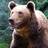 keeperofthebear