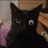 govtfatcat