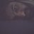Weird_Tyran