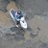 _rishikesh24396