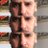 epilef797