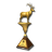 Dgeesio