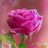 Preteshthakore