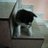 Eliud_Cuevas7