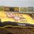 idoloBSC2012