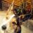 Gregor_Noname