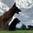 TheDogFix