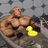 roudaut_nathan