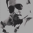 mayank_manjul12
