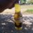 montana_regio