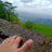 NikhilN58555003