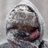 ColdWoman01