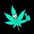 maconhice_