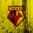 WatfordFC_Bos
