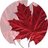 cdn_wolf