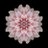 goldenratio_16