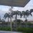 bo_rocio