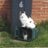 dave_clark619