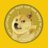 InfoDogetips