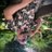 jamie_wyatt