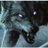 WolfieWolfWolf2