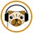 SynthDawg