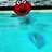 chim_evan
