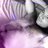 cesar_cesar643