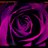 followchantal