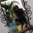 mats_481
