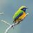 sanjoy_tweet