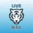 LiveMas502