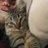Gatohot4