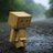 Ariel_Pavel5910