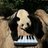 thechilledpanda