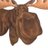 alces0alecs