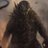Godzill71153569