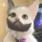 real_gigacat69