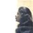 richa1975