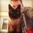 Jamie_Negus