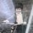 Michael56370476