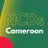 NCDsCameroon